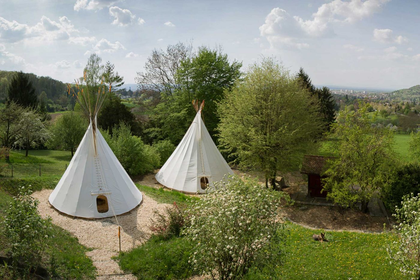 Screenshot for: Zeltwelt GmbH